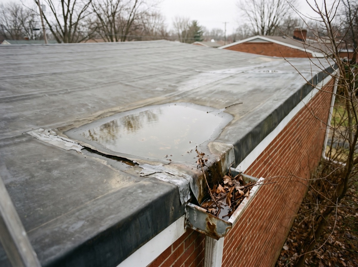 Flat Roof Repair