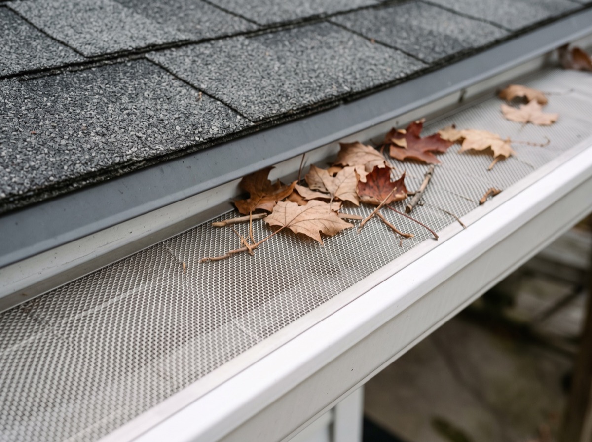Gutter Guards