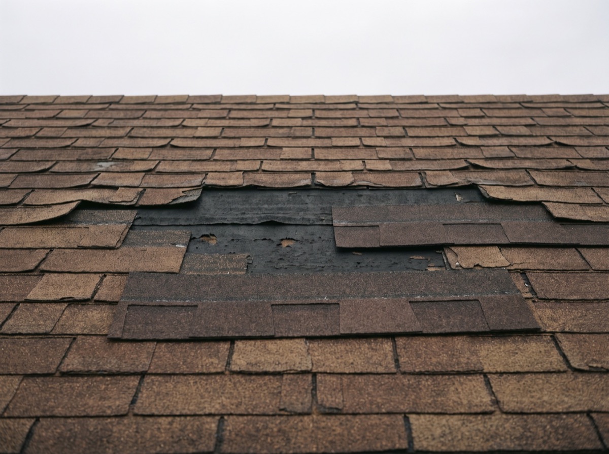 Shingle Repair
